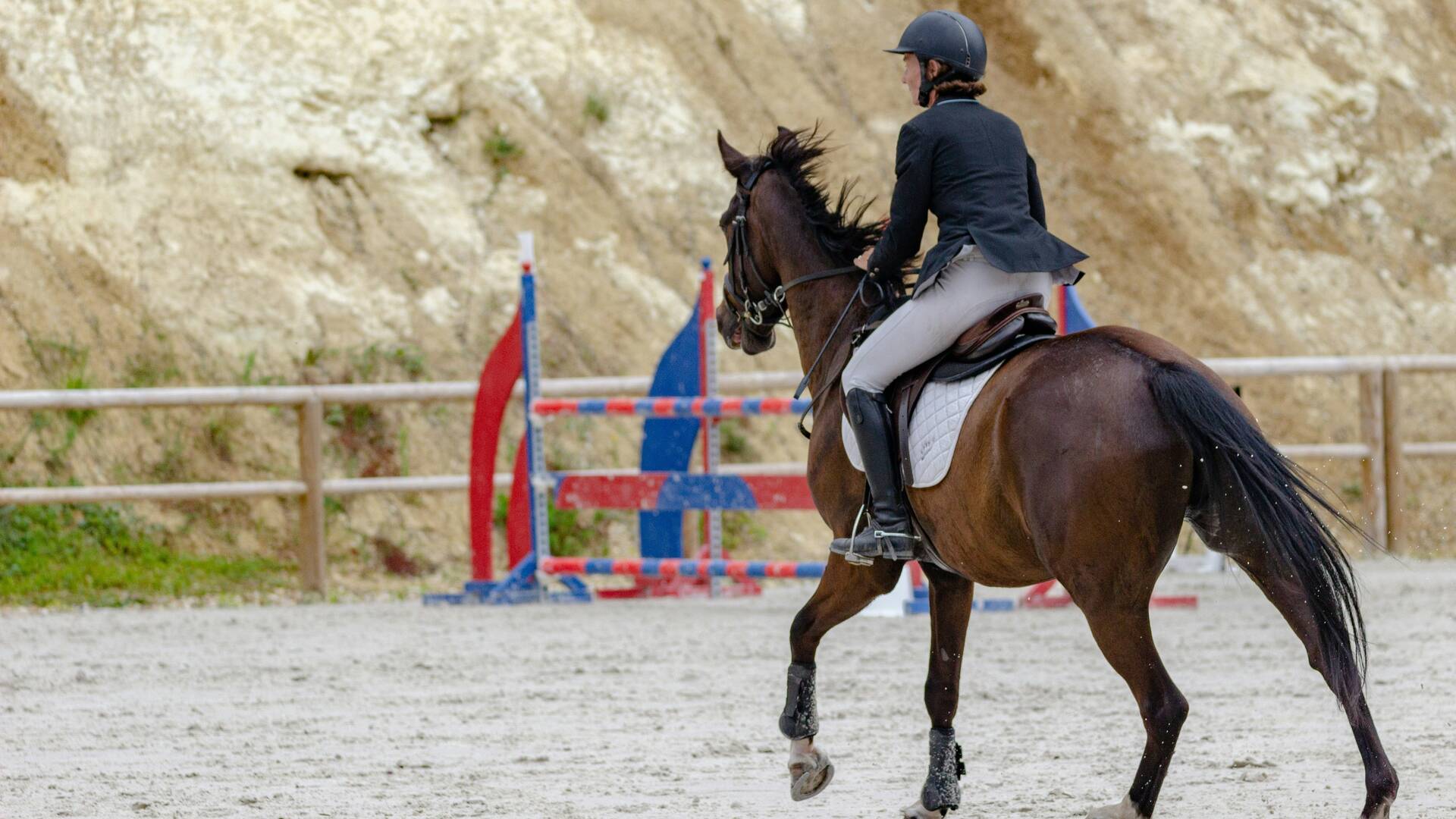 Ismét meghirdetik a lovassport szakirányt a BA edző szakon a TF-en